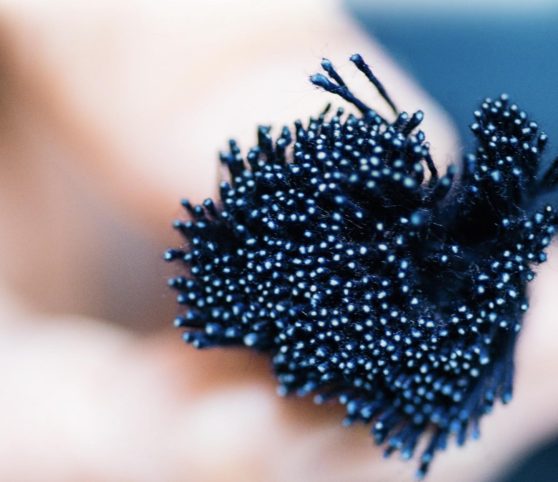 Kỹ thuật nhuộm đặc biệt của Kaihara Kỹ thuật nhuộm giữ lõi sợi trắng trên jeans