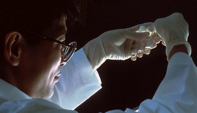 Các nhà khoa học Trung Quốc tạo ra loại thuốc được cho là có thể kéo dài tuổi thọ con người lên tới 150 năm- Ảnh 2. Tế bào thây ma và ảnh hưởng đến cơ thể